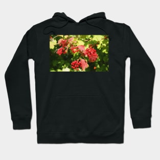 Stour Valley Way: Summer Berries, July 2020 Hoodie